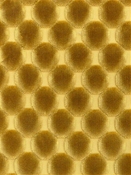 Dance Ochre Regal Fabrics
